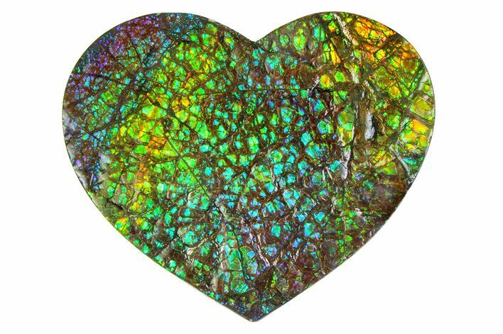 Flashy Ammolite (Fossil Ammonite Shell) Heart #350340